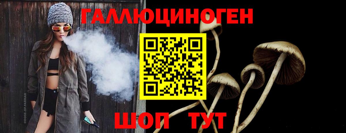 Галлюциногенные грибы GOLDEN TEACHER  Псилоцибиновые грибы Psilocybine cubensis  Вход с VPN  наркота  Сланцы 